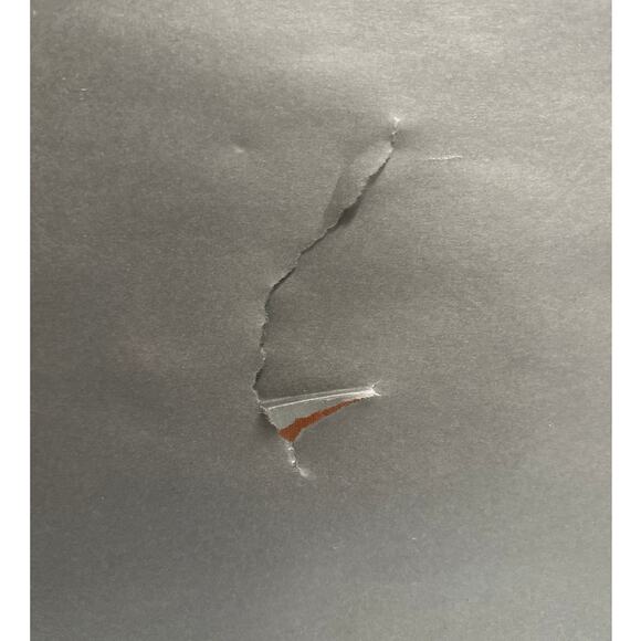 Pino "The Main Attraction" Limited Giclee Numbered 2/10 Signed COA - Picture 11 of 11